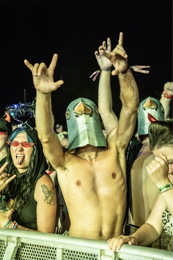 fan with a pigeon mask on in the crowd at Domefest at ace adventure resort in the new river gorge. 